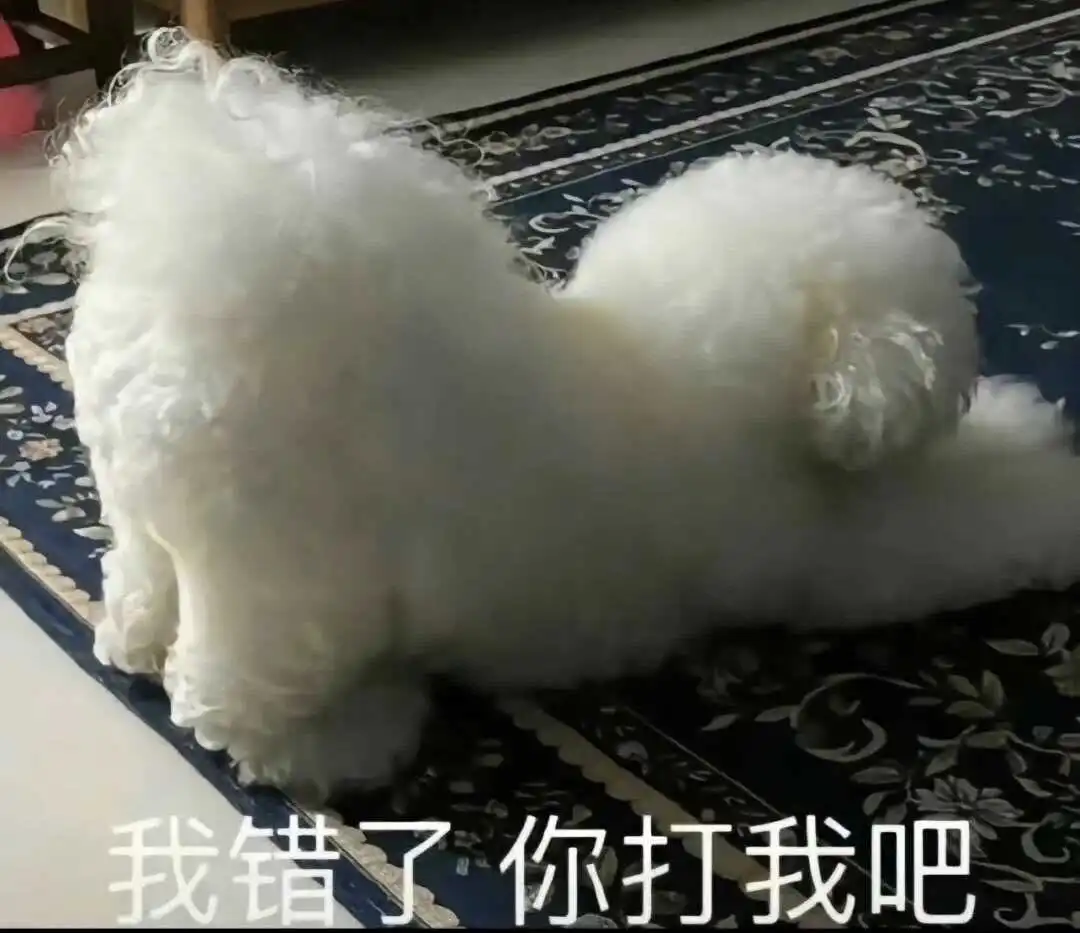 【西檬之家】Sub是什么：深入解析字母圈中的臣服者角色