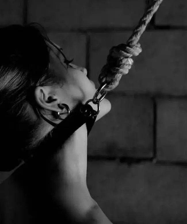 西檬之家-字母圈K8是什么：深入解析BDSM中的猫系角色扮演