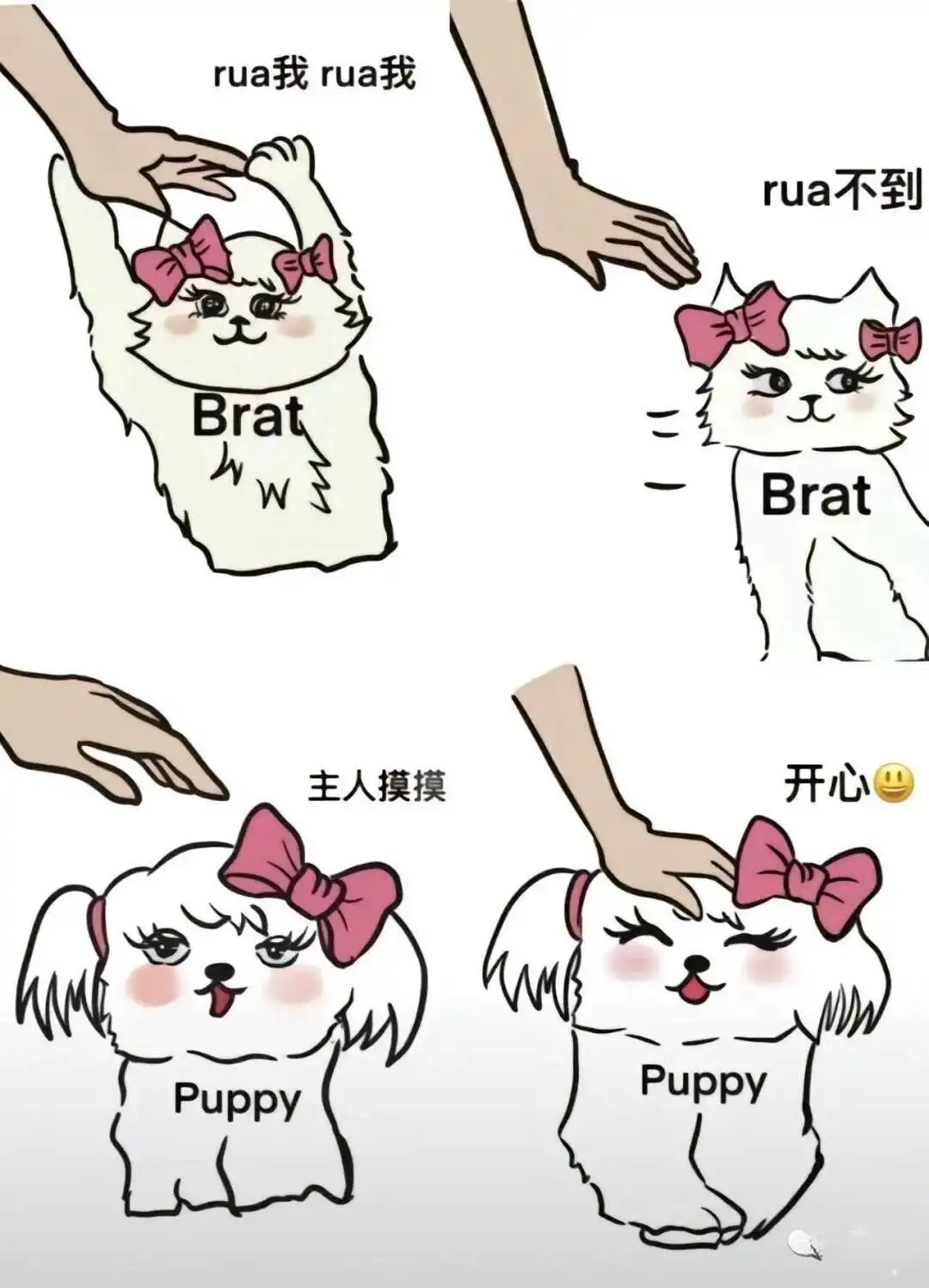 字母圈入圈 - 2023_12_05_21_27_IMG_9363