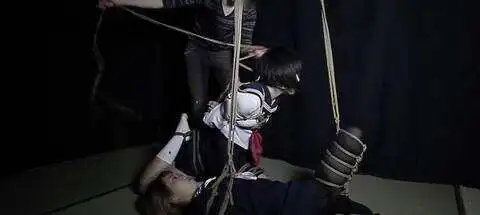 西檬之家-字母圈新人入圈指南：全面解析BDSM核心术语与实践安全原则