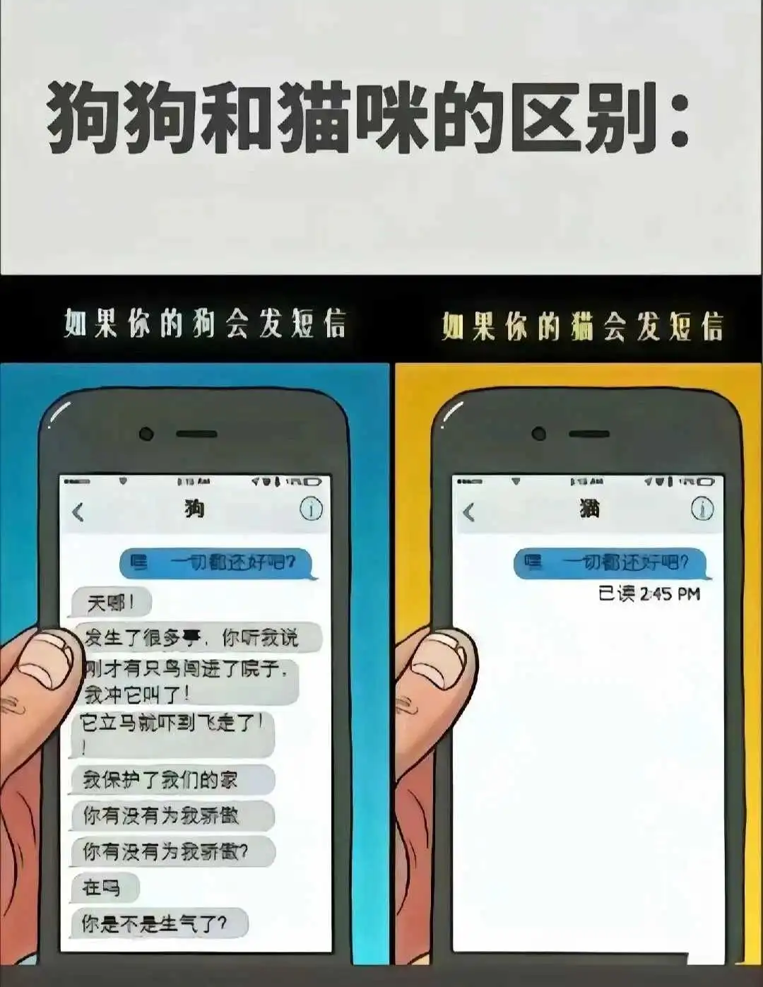 Dom - 微信图片_20250713011414