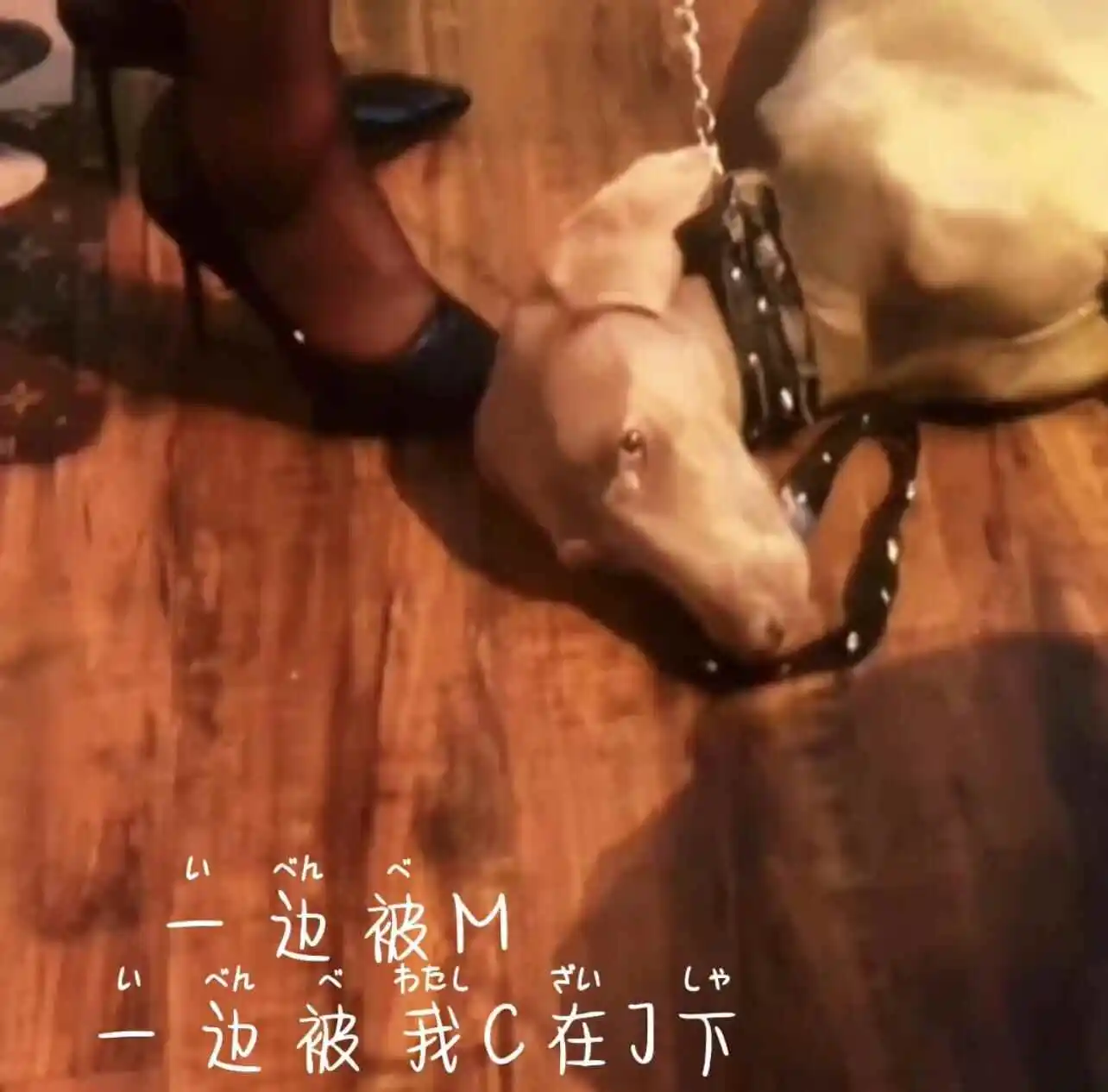 践踏癖 - 2023_11_07_20_50_IMG_8911