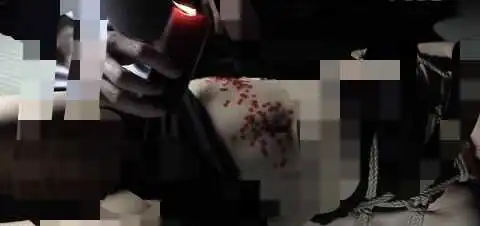 【西檬之家】