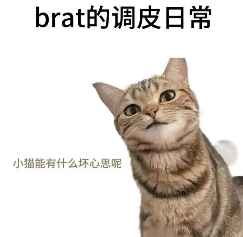 西檬之家-BDSM新人如何入圈：权威指南